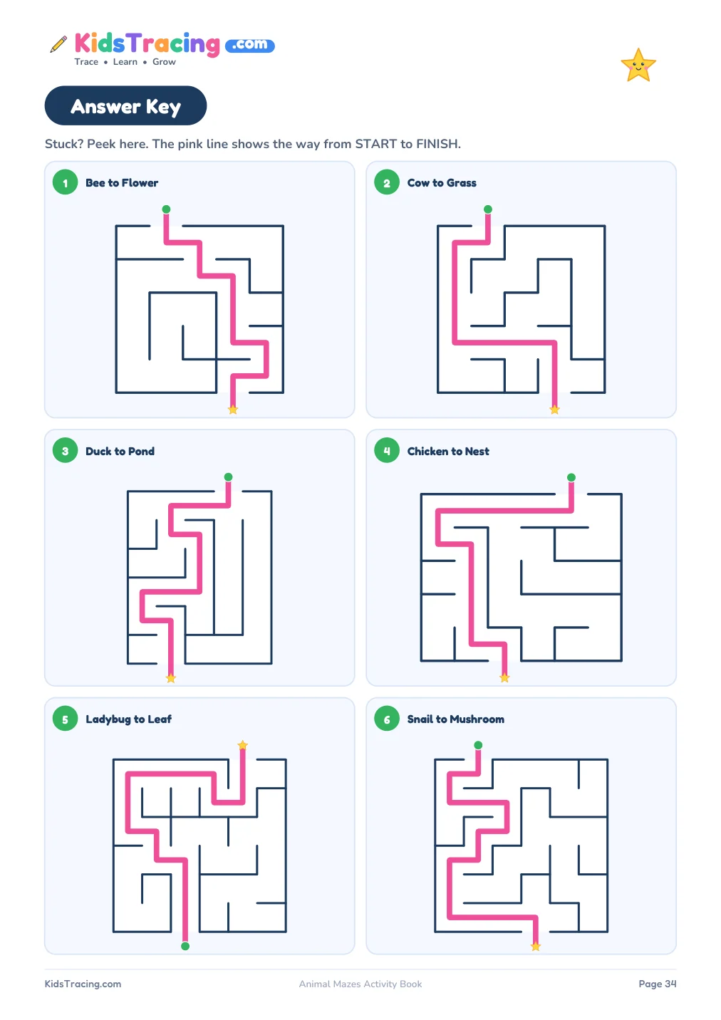 Answer key page with six solved mazes and the route drawn as a pink line